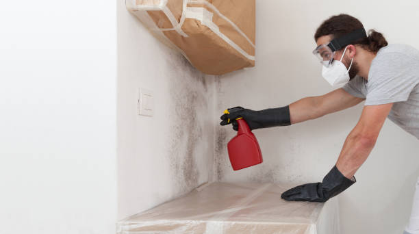 Professional Crawl Space Mold Removal technician working in Ridgewood, NJ