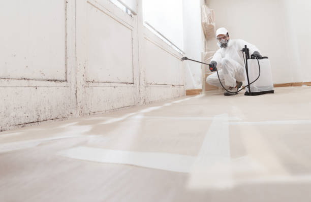 24/7 Emergency Crawl Space Mold Removal experts in Ridgewood, NJ