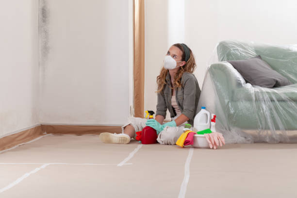 Reliable Crawl Space Mold Removal contractor in Ridgewood, NJ by WQB Mold Removal